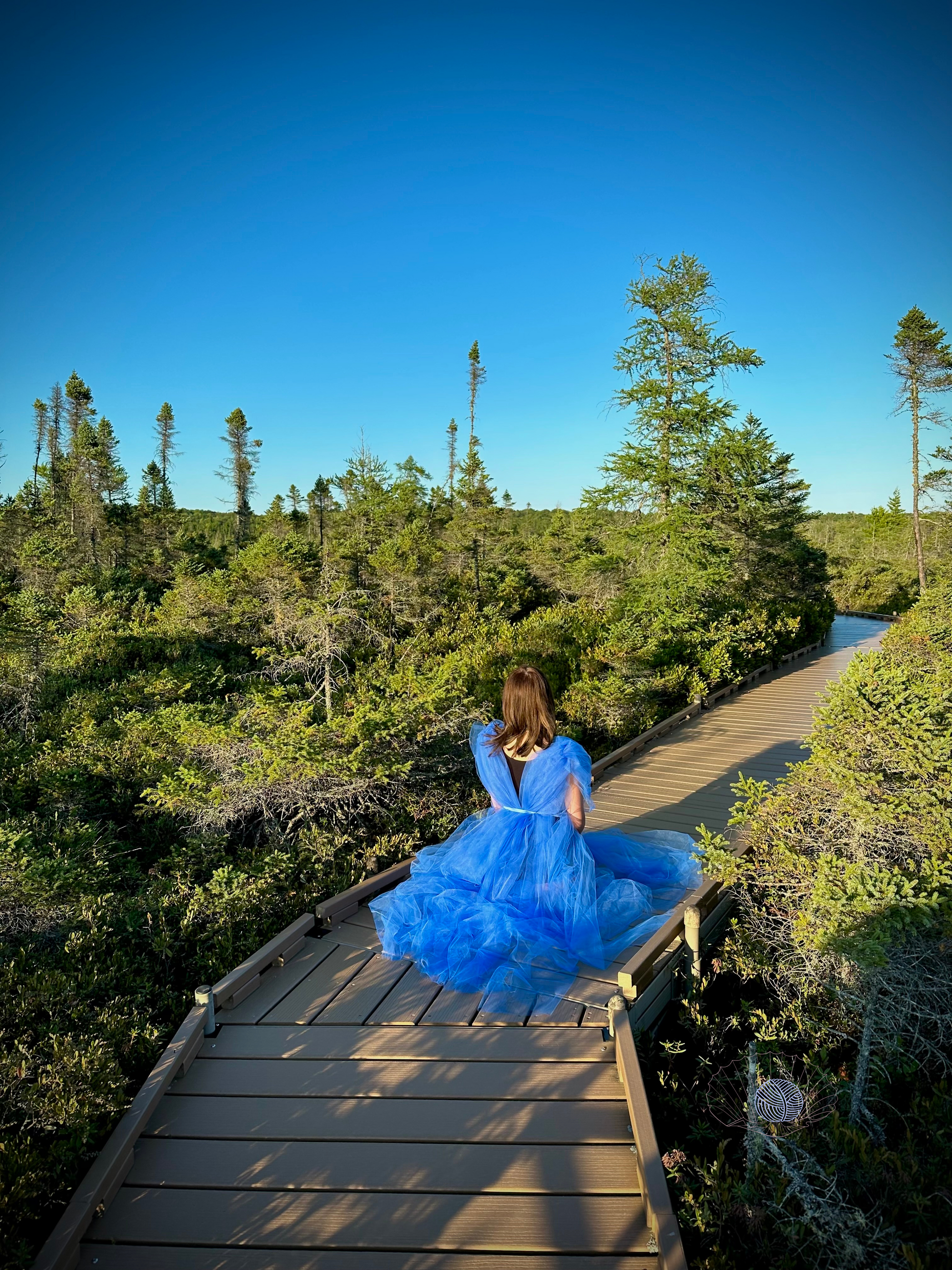 Brunette woman seated facing away from camera on a wooden boardwalk set over a bog. She is wearing a cerulean blue tulle dress