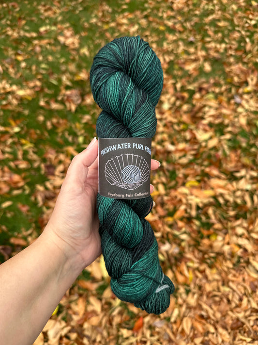 Hand holding a skein of yarn over fallen autumn leaves. Yarn is deep pine and bottle green with a veil of black dye over top which is heavier in spots.